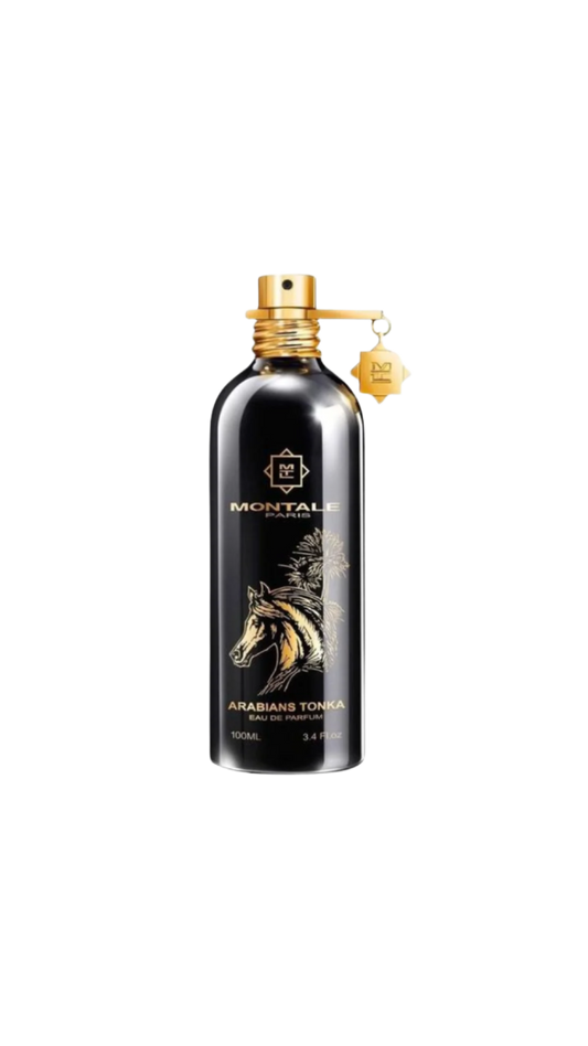 Montale – Arabians Tonka